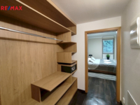REMAX Delux