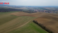 REMAX Brno