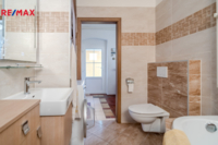 REMAX Delux