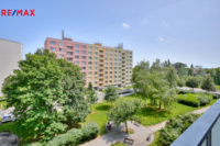 REMAX Delux