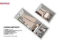 REMAX Delux