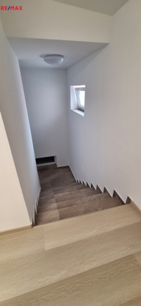 2888647.jpg