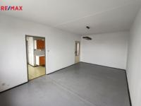 REMAX Delux