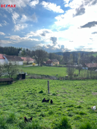 Zvotoky
