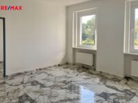 REMAX Delux