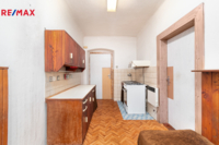 REMAX Delux