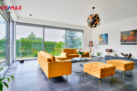 REMAX Delux