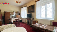 REMAX Delux