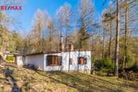 REMAX Delux