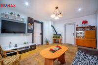 REMAX Delux