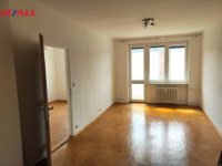 REMAX Delux