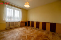 REMAX Delux