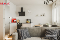 REMAX Delux