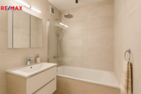 REMAX Delux
