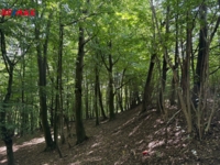 Realitní kancelář Brno