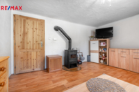 REMAX Delux