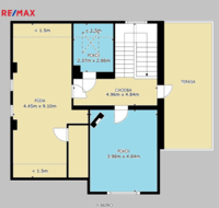 REMAX Delux