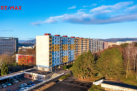 REMAX Delux