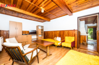 REMAX Delux