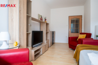 REMAX Delux