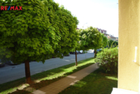 REMAX Delux