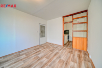 REMAX Delux