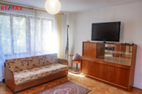 REMAX Delux