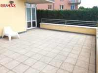 2915794.jpg