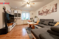 REMAX Delux