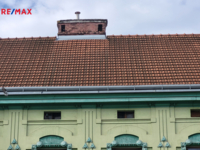 REMAX Delux