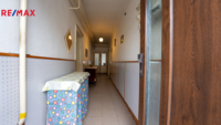 REMAX Delux