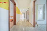 REMAX Delux