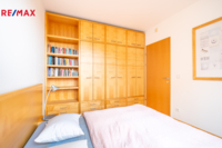 REMAX Delux