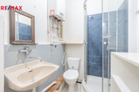 REMAX Delux