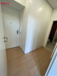 REMAX Delux