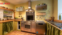 REMAX Delux
