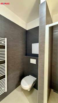 REMAX Delux