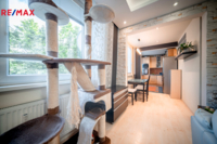 REMAX Delux