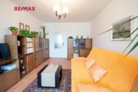 REMAX Delux