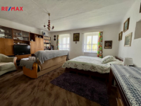 REMAX Delux