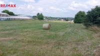 Všetaty