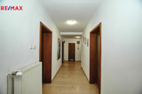 REMAX Delux