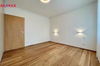 REMAX Delux