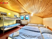 REMAX Delux