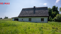 REMAX Delux