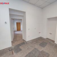 REMAX Delux