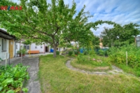 REMAX Delux