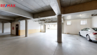 REMAX Delux