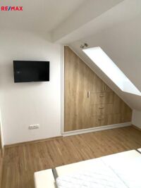 REMAX Delux