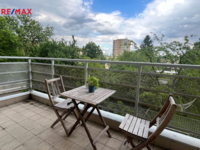 REMAX Delux
